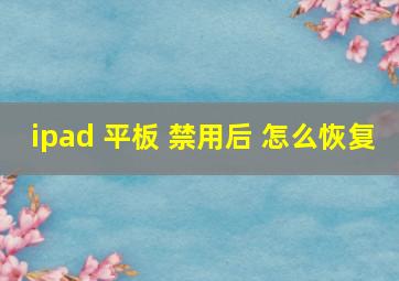 ipad 平板 禁用后 怎么恢复